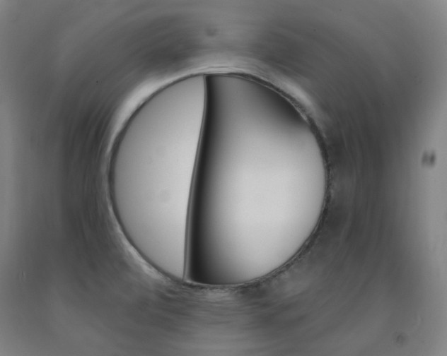 X0000093261472200709261608