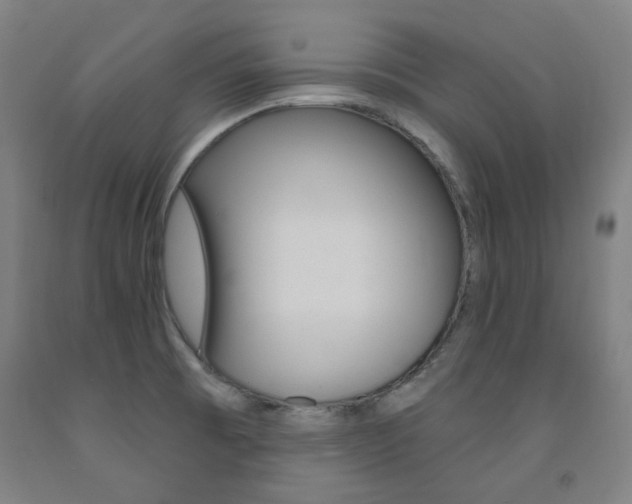 X0000093261473200709261608
