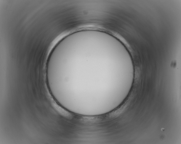 X0000093261474200709261608