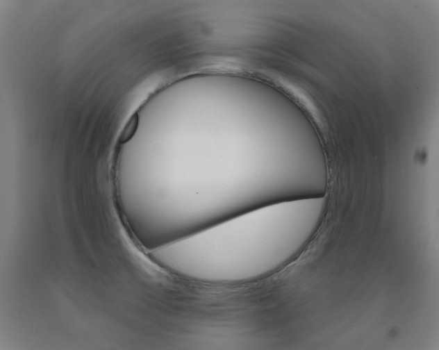 X0000093261475200709261608