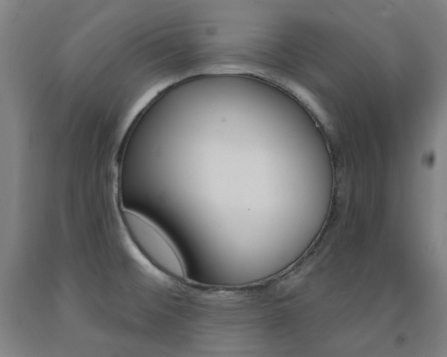 X0000093261476200709261608