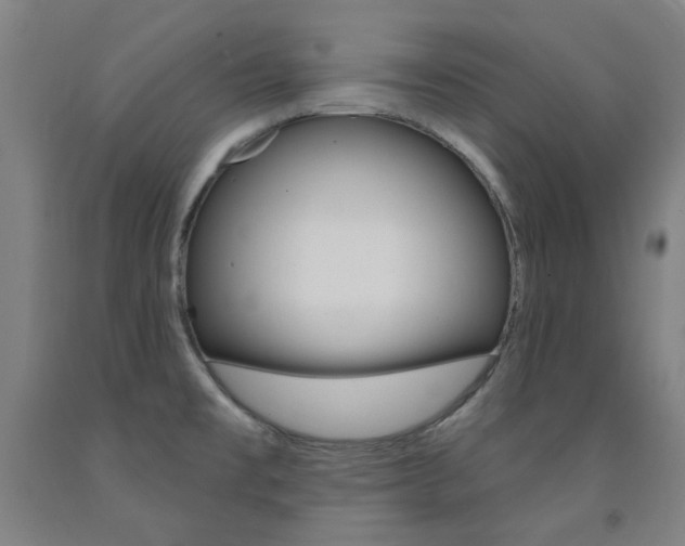 X0000093261477200709261608