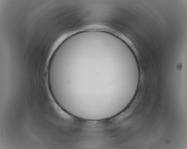 X0000093261478200709261607