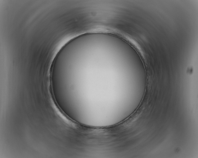 X0000093261479200709261607