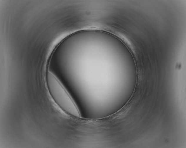 X0000093261480200709261607