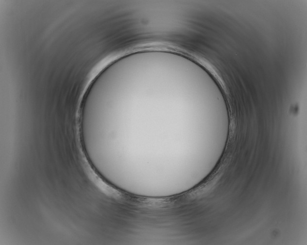 X0000093261482200709261607