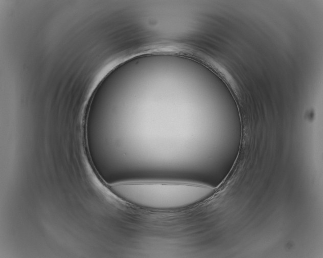 X0000093261483200709261607