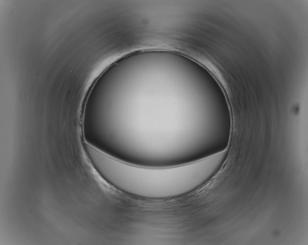 X0000093261485200709261607