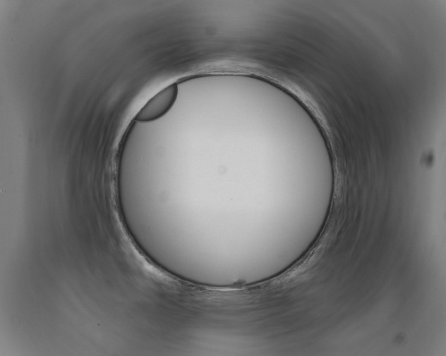 X0000093261486200709261607