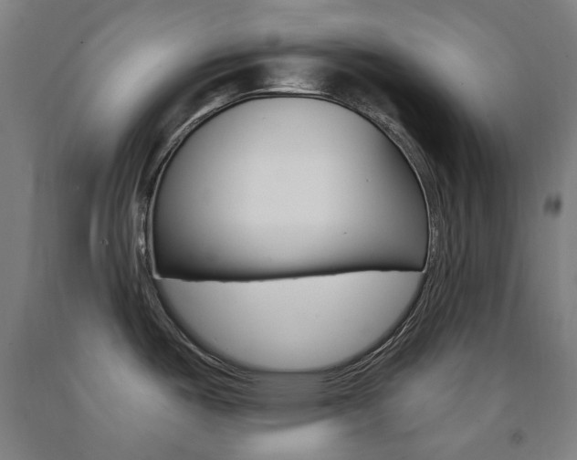 X0000093261487200709261607