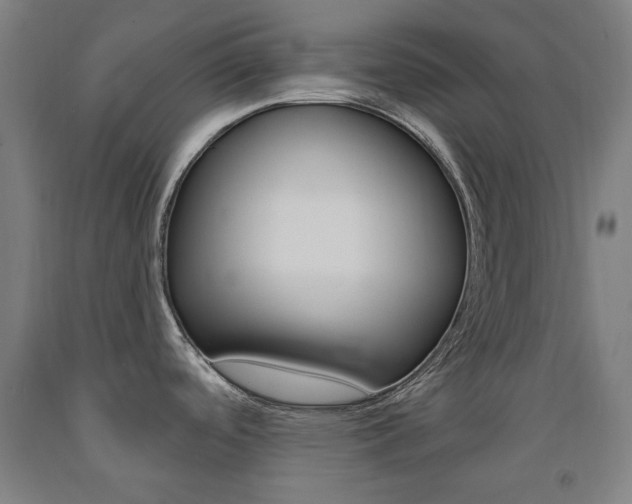 X0000093261488200709261607