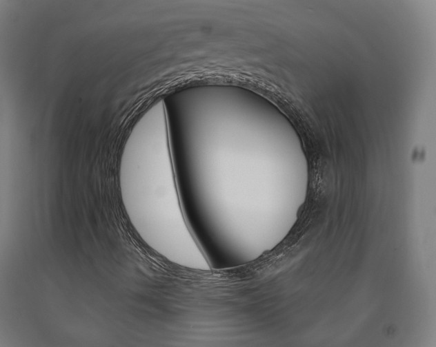 X0000093261490200709261607