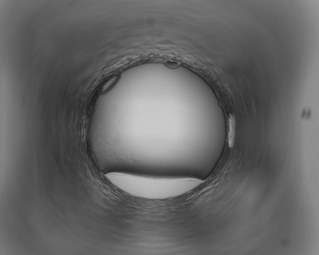 X0000093261491200709261607