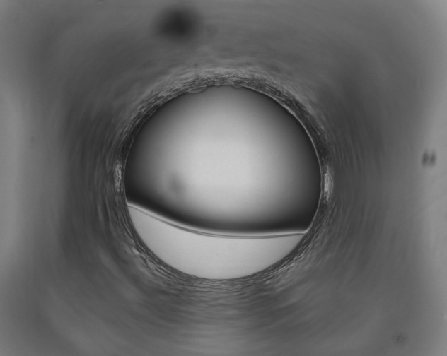 X0000093261492200709261607