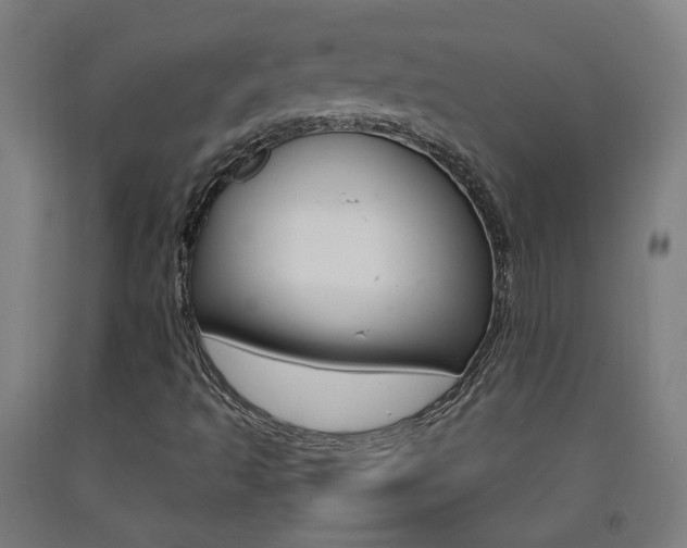 X0000093261493200709261607