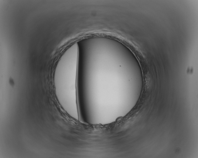 X0000093261494200709261607