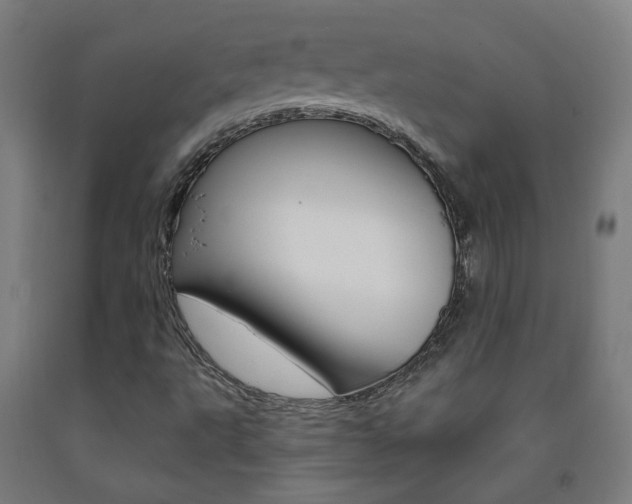 X0000093261495200709261607