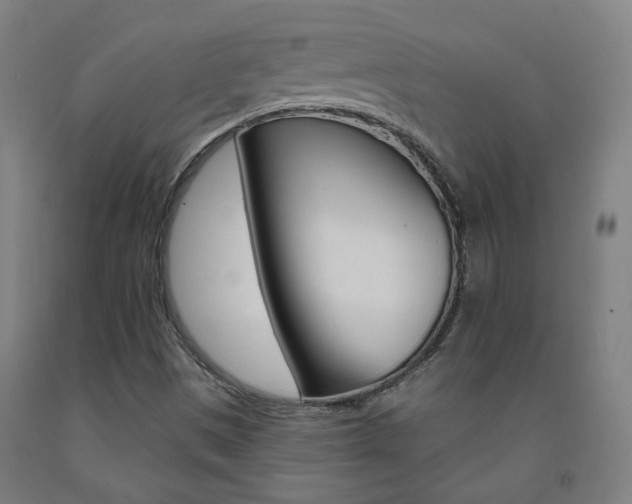 X0000093261497200709261607