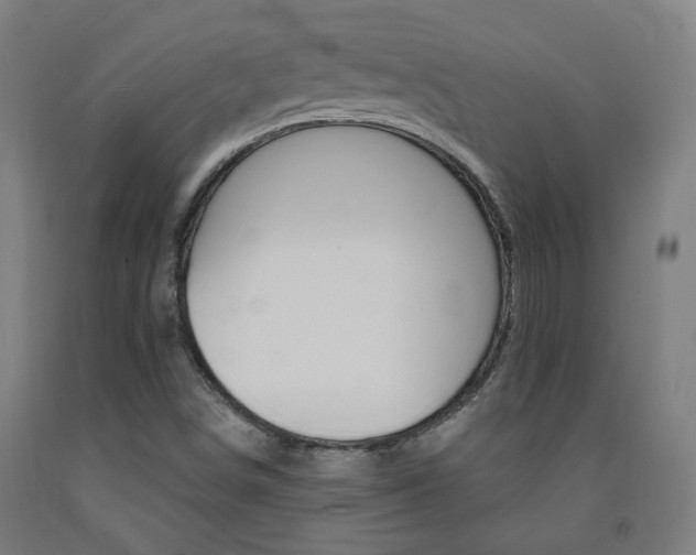 X0000093261498200709261607