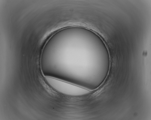 X0000093261499200709261607