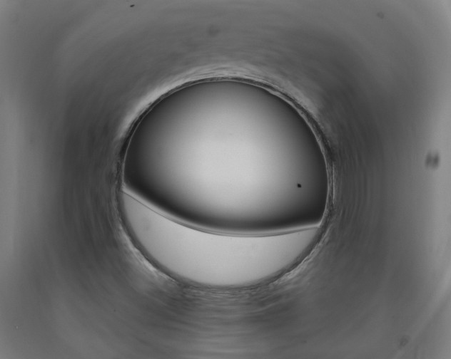 X0000093261500200709261607