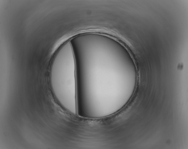X0000093261501200709261607
