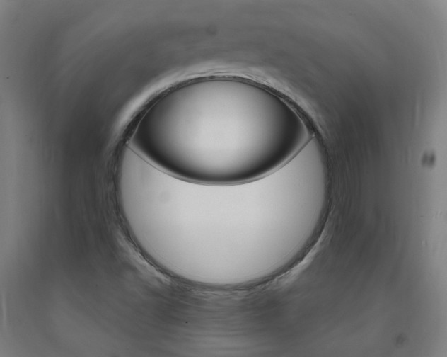 X0000093261502200709261607
