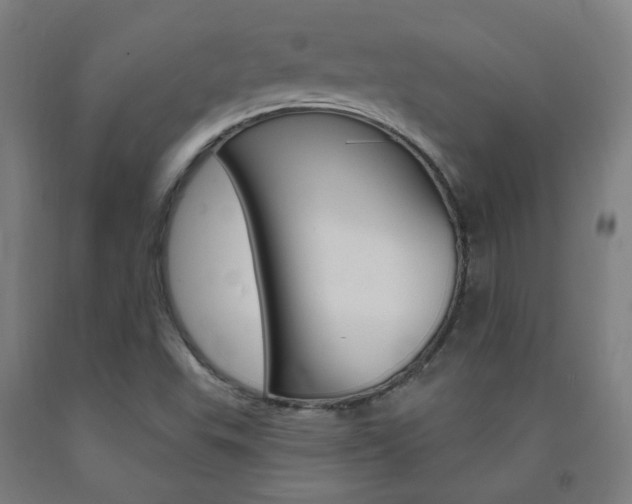 X0000093261503200709261607