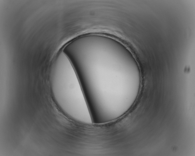 X0000093261505200709261607