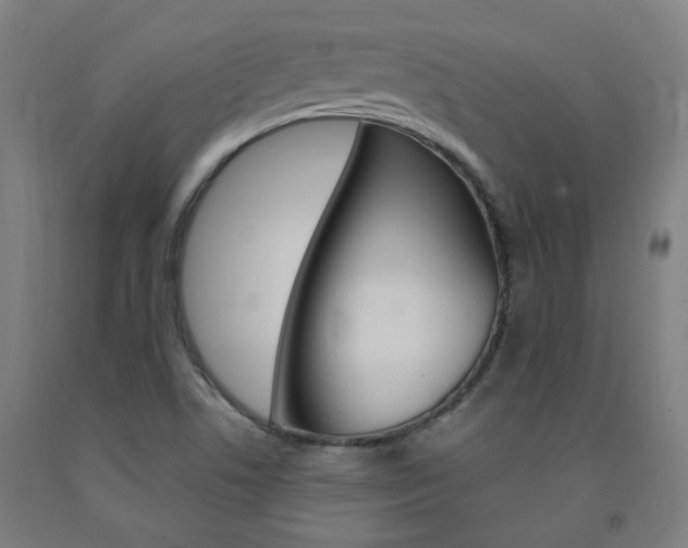 X0000093261506200709261607