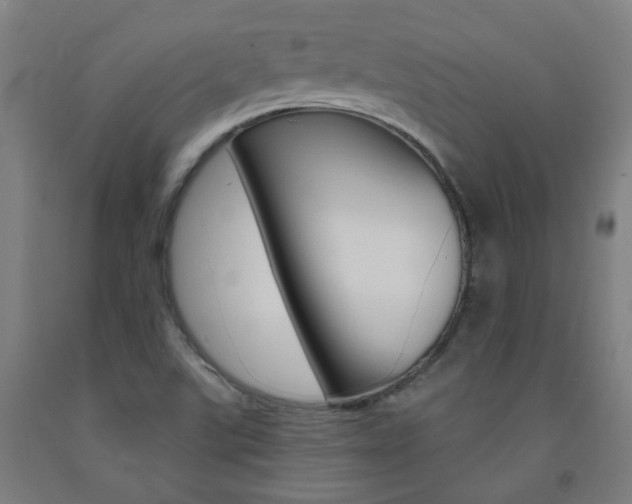 X0000093261507200709261607