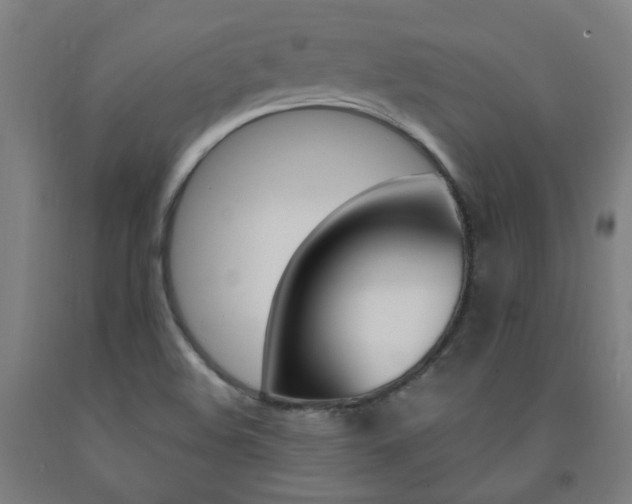 X0000093261508200709261607