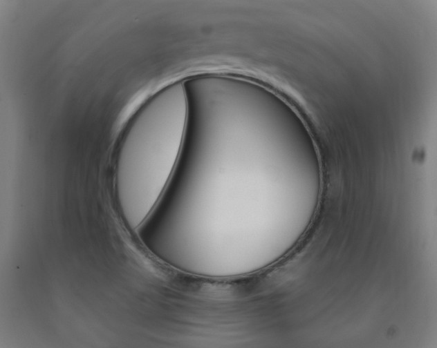 X0000093261509200709261607