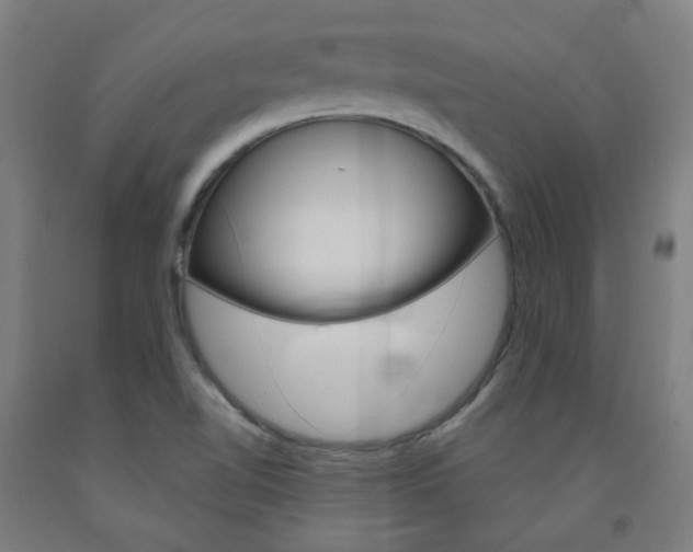 X0000093261510200709261607