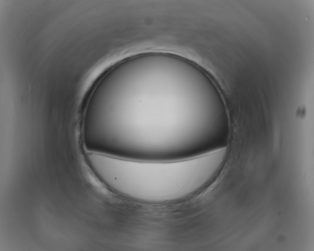 X0000093261511200709261607