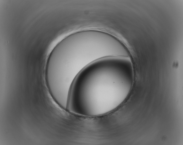 X0000093261512200709261607