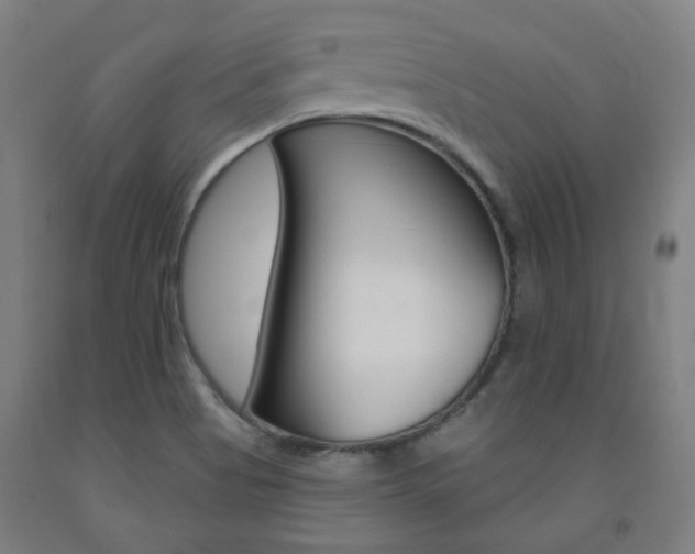 X0000093261513200709261607