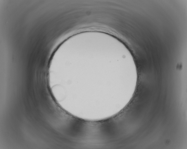 X0000093261514200709261607