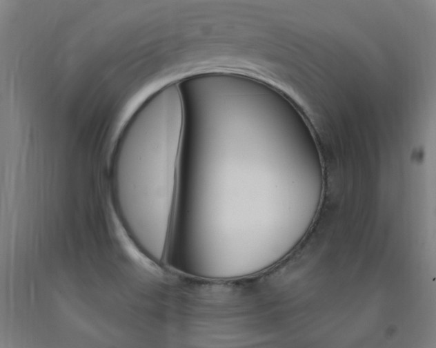 X0000093261515200709261607