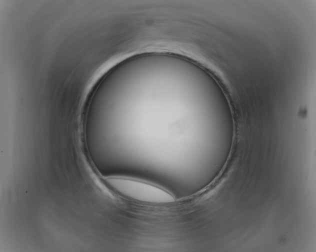 X0000093261517200709261607