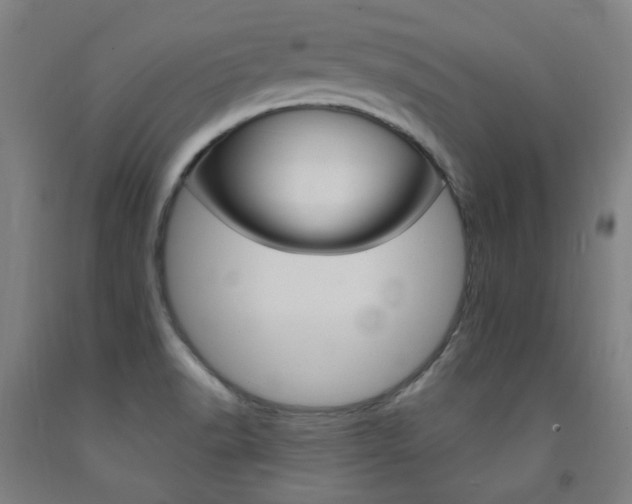 X0000093261518200709261607