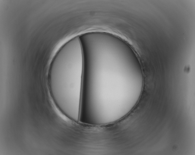 X0000093261519200709261607