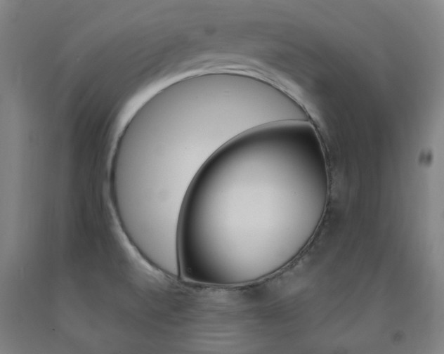 X0000093261520200709261607