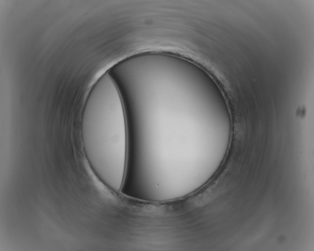 X0000093261521200709261607