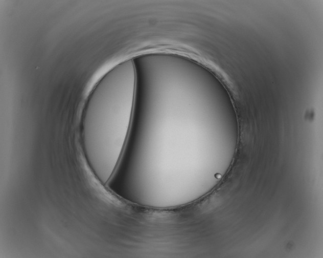 X0000093261522200709261607