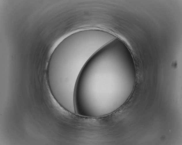 X0000093261524200709261607