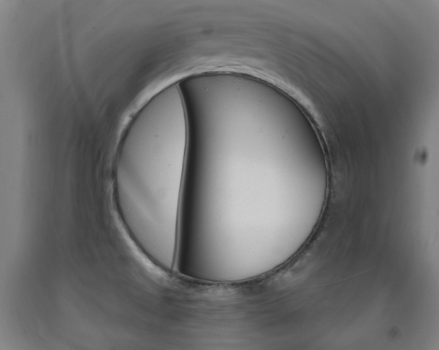 X0000093261525200709261607