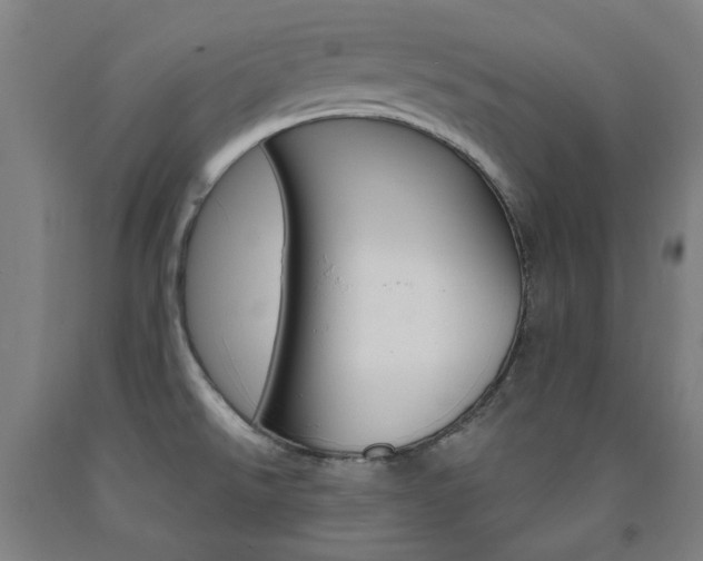 X0000093261526200709261607