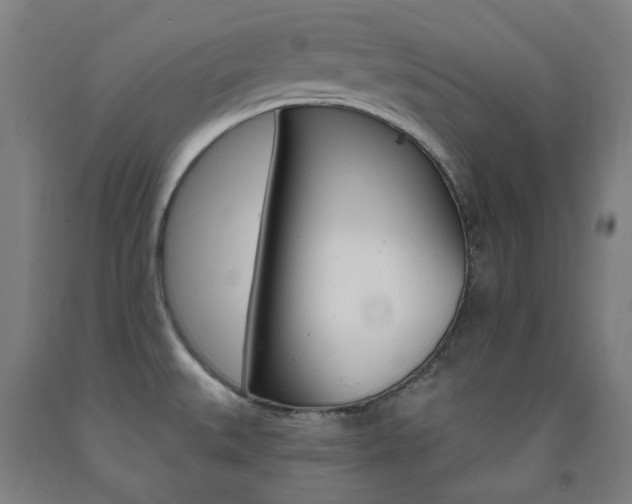 X0000093261527200709261607