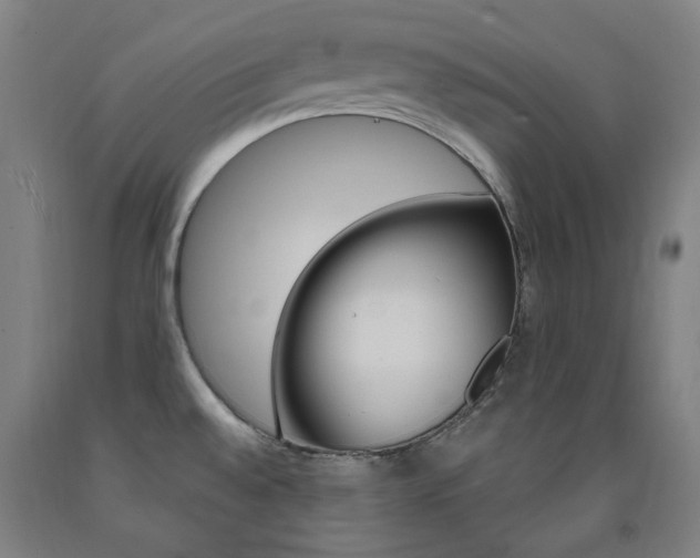 X0000093261528200709261607